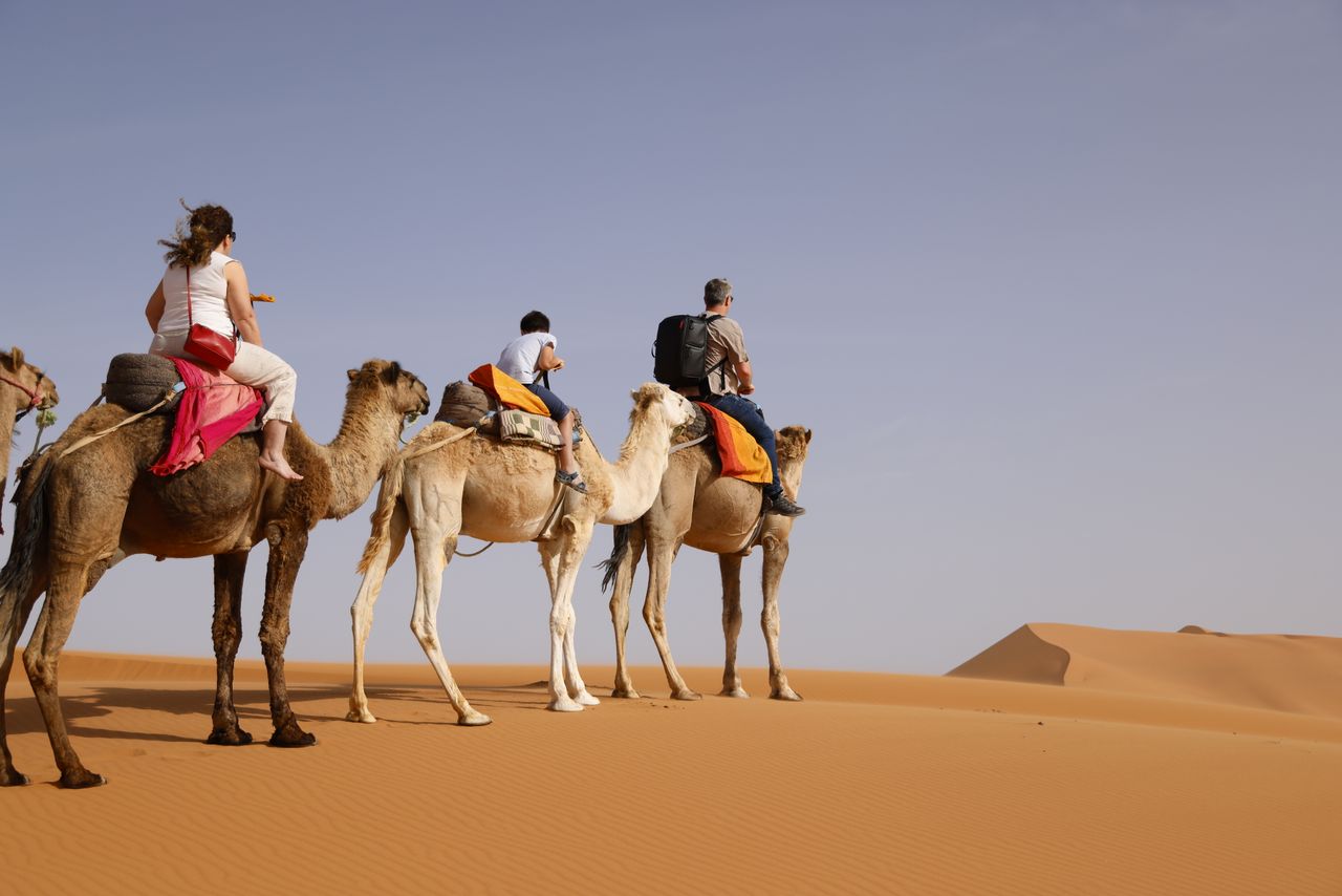 Home Explore the serene desert landscapes on camelback with family, capturing the essence of travel and adventure.